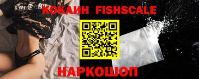 прущие крисы Камышлов