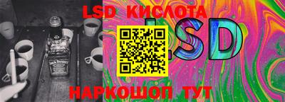прущие крисы Камышлов