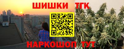 прущие крисы Камышлов