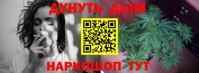 прущие крисы Камышлов